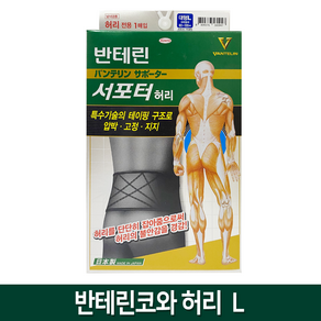 반테린 서포터 허리 보호대, 1개