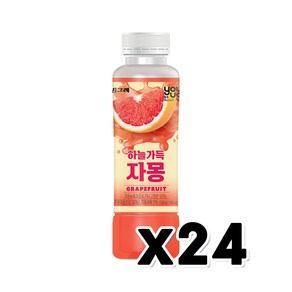 유어스 하늘가득 자몽주스 음료페트 330ml x 24개 1박스