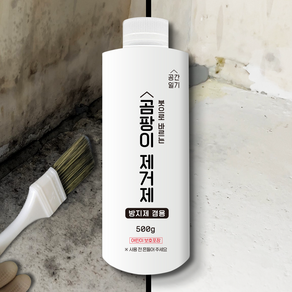 공간일기 바르는 곰팡이제거제 500g 1+1, 2개