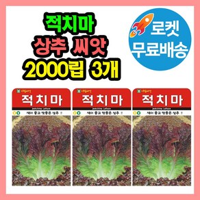 적치마 상추 씨앗 (합 6000립) 종자 쌈 채소, 3개