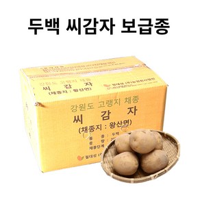 농사이야기 강원도 수미 두백 씨감자 종자 감자씨 보급종, 1개, 4kg(두백)