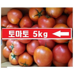 (정품/주스용 아님) 싱싱한 토마토 오늘-출고/국내산