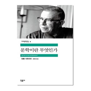 민음사 문학이란 무엇인가 (세계문학전집 9)