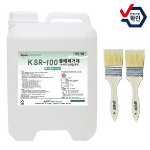 KSR-100 / SR-100 10L 무거품타입 녹 물때제거제 수영장청소세제 배관스케일제거, 1개