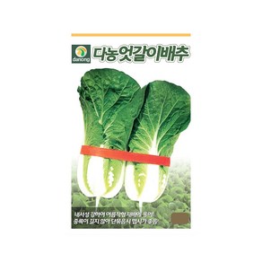 (DN) 다농엇갈이배추 씨앗(10g), 1개