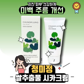 최신상 청미정 시카크림 미백 주름개선 CHUNGMIJUNG CICA CREAM(3개이상 주문시 사은품), 110g, 1세트