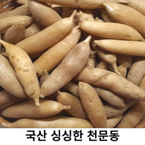 국산 신선한 천문동 국내산 하동 진주 생천문동 100g 1kg 담금용 건재 천문동 생천문동 건조한 천문동 담금주 요리 음용 약제, 약내림용 건조천문동 100g, 1개