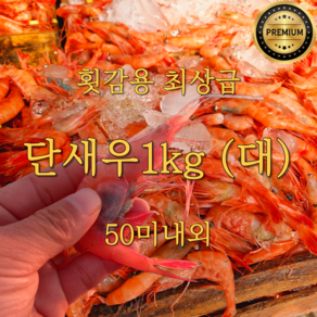 국내산 단새우(대) 1kg 단새우회 (50미내외), 1kg(대)50미내외, 1개