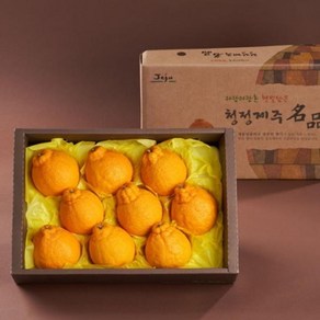 [제주산지직송] 만감류장인 꿀당도 레드향 한라봉, 1박스, 2kg(선물용)