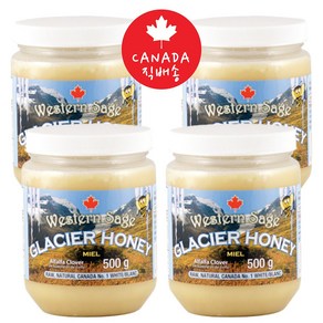 웨스턴세이지 캐나다 빙하 석청 꿀 글레시어 허니 Western Sage Glacier Honey 500g-4병(캐나다 천연 석청꿀>캐나다 직배송)