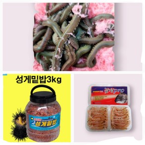 밑밥 셑트 C-2 (생활낚시 패키지) 성게밑밥 3키로 2개 + 감성프로 1개+ 청갯지렁이 100g