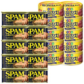 스팸 참치 혼합구성 (가정용) 스팸200g 10캔+동원참치 DHA 150g 10캔, 1개, 3.5kg