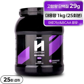 오늘의바디 에이치프로틴 WPC 단백질 보충제 프로틴 93% 초코맛, 1000g x 1개, 1kg, 1개