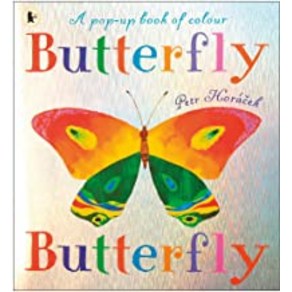 WALKER BOOKS Pictoy 1-34 Buttefly (PAR), 9781406340068, Pet Hoacek