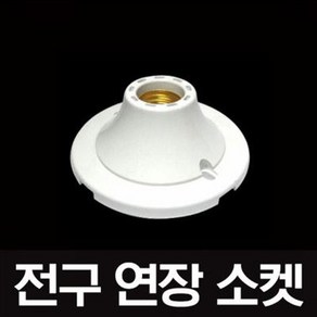 나이스조명 볼직부 백색, 1개