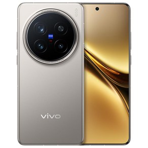 비보 Vivo X200 Po 프로 알뜰폰 자급제 중국판 무음카메라 듀얼심 효도폰, 12GB 256GB, 티탄늄, 256GB