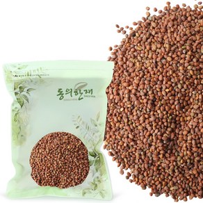 동의한재 인도 나복자 무씨 600g, 1개