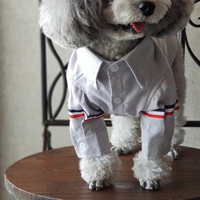 강아지옷 도그브라운 삼선패치 셔츠 애견 반려견 의류, 도그브라운-화이트