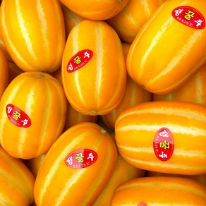 과일정원 성주참외 달콤아삭 고당도 산지직송, 1개, 1.5kg (가정용)