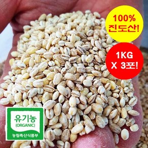 [유기농] 진도 겉보리 3KG(1KGx3포) ['24년 햇곡' / '100% 진도산'/ '진도직송' & '무료배송' / 늘보리 & 꽁보리밥]