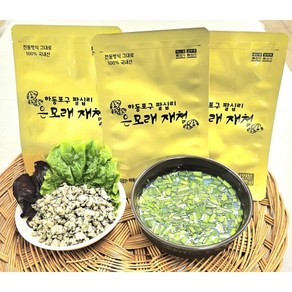 섬진강가든 은모래 재첩국500g 10팩+1팩 [원산지:국산], 10개, 500g