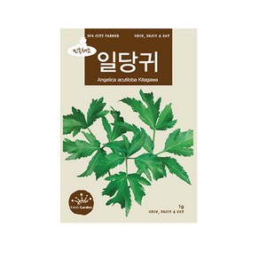 (CN) 일당귀 씨앗 (1g)