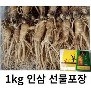 인삼선물세트 수삼선물세트 인삼 5년근1kg (15-18뿌리) 인삼선물 인삼세트 수삼세트 부모님 건강 선물세트, 1KG세척(o), 1kg, 1개