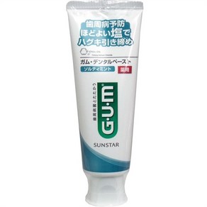 GUM 검 약용 치약 덴탈 페이스트 소금 민트 스탠딩 150g, 1개