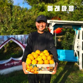 [KT알파쇼핑]예래마을 제주 서귀포 노지 감귤 10kg 특대과, 10kg(특대과), 1박스