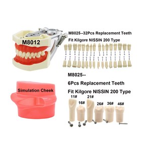 치아모형 킬고어-닛신 200 형 치과 모델 32 개 스크류 인 필링 타이포도트 데모 표준 연습 연구 시뮬레이션 볼용, 2.M8025-6Pcs, 1개