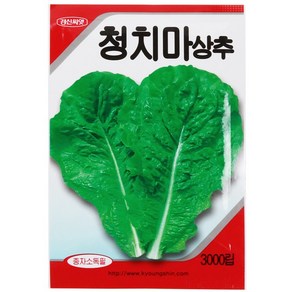 청치마 상추 씨앗(3000립)-텃밭 종자 쌈채소 키우기, 1개