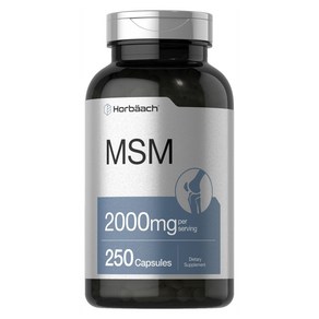 호바흐 MSM 2000mg 캡슐, 1개