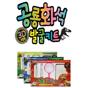 3D 조립형 공룡화석 발굴키트셋트/ 고대발굴 / 화석블럭+망치+브러쉬+정+돋보기, 레드