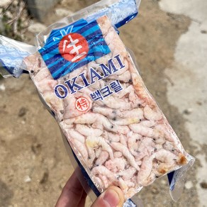 피싱스탠다드 오키아미 백크릴 감성돔 크릴새우 크릴미끼 참돔 낚시, 1개, 900g