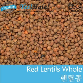 Yes!Global Red Lentil Whole Massa Whole Masoo Dal Whole 렌즈콩 레드 렌틸콩 렌틸빈 마수르달 (900g Canada), 1개, 900