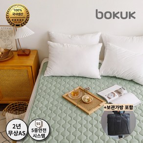 보국전자 에어셀 베이직 전기요 아르데코 BKB-2604D, 더블(135 x 180 cm), 그린