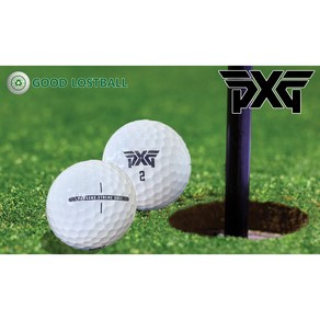 GOOD 로스트볼 PXG 프리미엄 로스트볼 등급별 10구 세트+골프티 증정!, 1개, 10개입, PXG 화이트 A