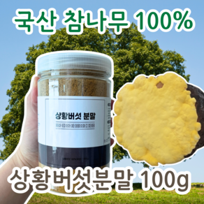 치치야 상황버섯분말 참나무 버섯가루 국산 상황버섯 분말 100프로 국내산, 100g, 1개