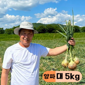 만근농장 국내산 햇양파, 1개, 5kg(대)