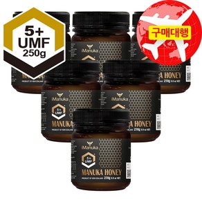 뉴질랜드 아이마누카 마누카꿀 UMF5, 6개, 250g