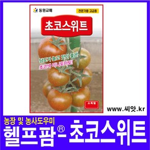 헬프팜 초코스위트토마토 20립 종자 씨앗 동원종묘, 1개