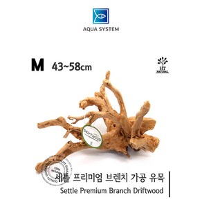 아쿠아시스템 세틀 프리미엄 브렌치 가공 유목 M 43~58cm, 1개