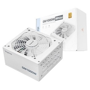 Segotep GM1000W 80PLUS GOLD 풀모듈러 ATX 3.1 (PCIE5.1) 화이트