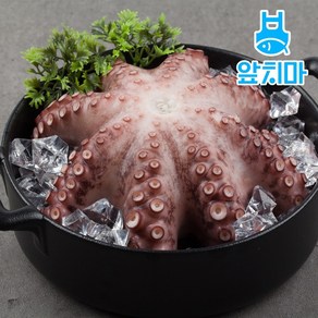 세척 손질 문어 필리핀 제수용, 1개, 약 1kg