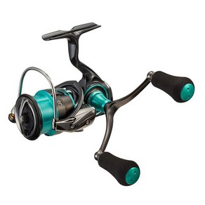 다이와(DAIWA) 21 에메랄다스 에어 FC LT2500S-DH, 상세페이지 참조, 상세페이지 참조