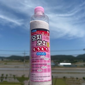 도원피싱 염장소금 500g 모치모치 솔트 미끼 첨가제