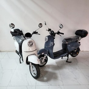 클래식 전동스쿠터 타이탄1200 60V 30A 800W, 30Ah(1회 충전 65km 주행가능), 화이트