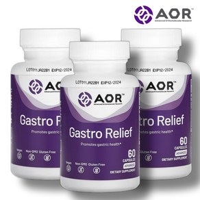 AOR Gasto Relief 60캡슐 3통 가스트로릴리프 고약사 매스틱검 알긴산, 3개, 60정