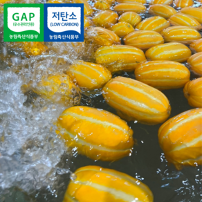 [100% 환불보장] 성주 참외 GAP 인증 당도선별 고당도 프리미엄 참외, 1박스, 3kg(가정용-중소과)