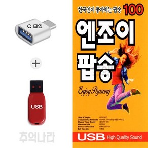 [IN] C 타입 노래칩 엔조이 팝송 100곡